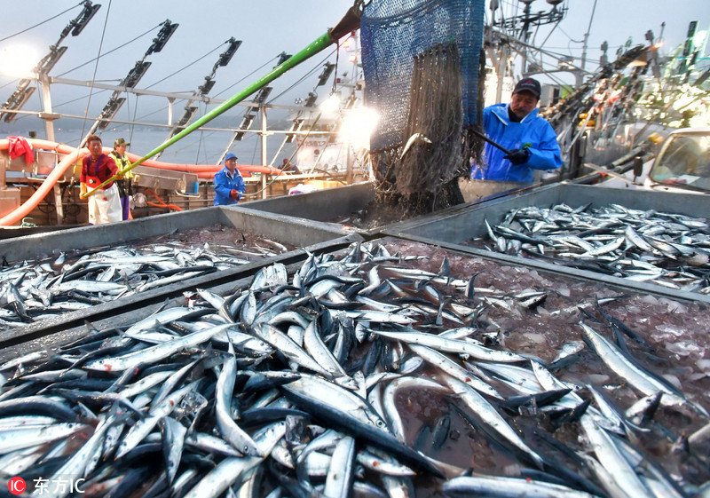 Pelatihan Kerja Jepang di Bekasi